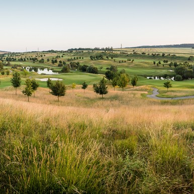 Golf Course