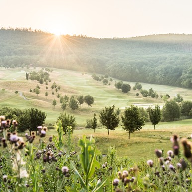 Golf Course