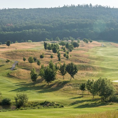 Golf Course